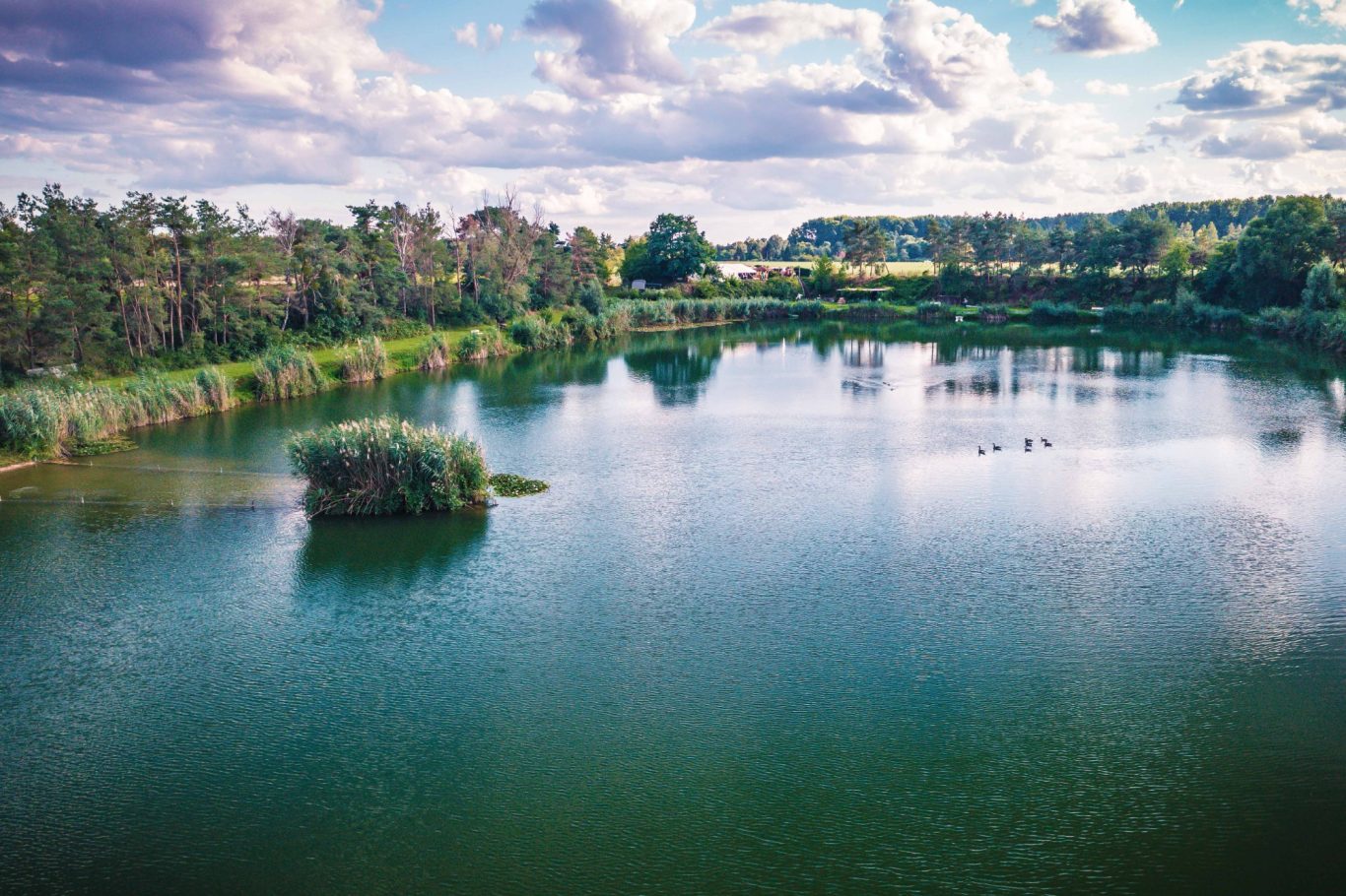 Der Heideweiher von der Nordseite