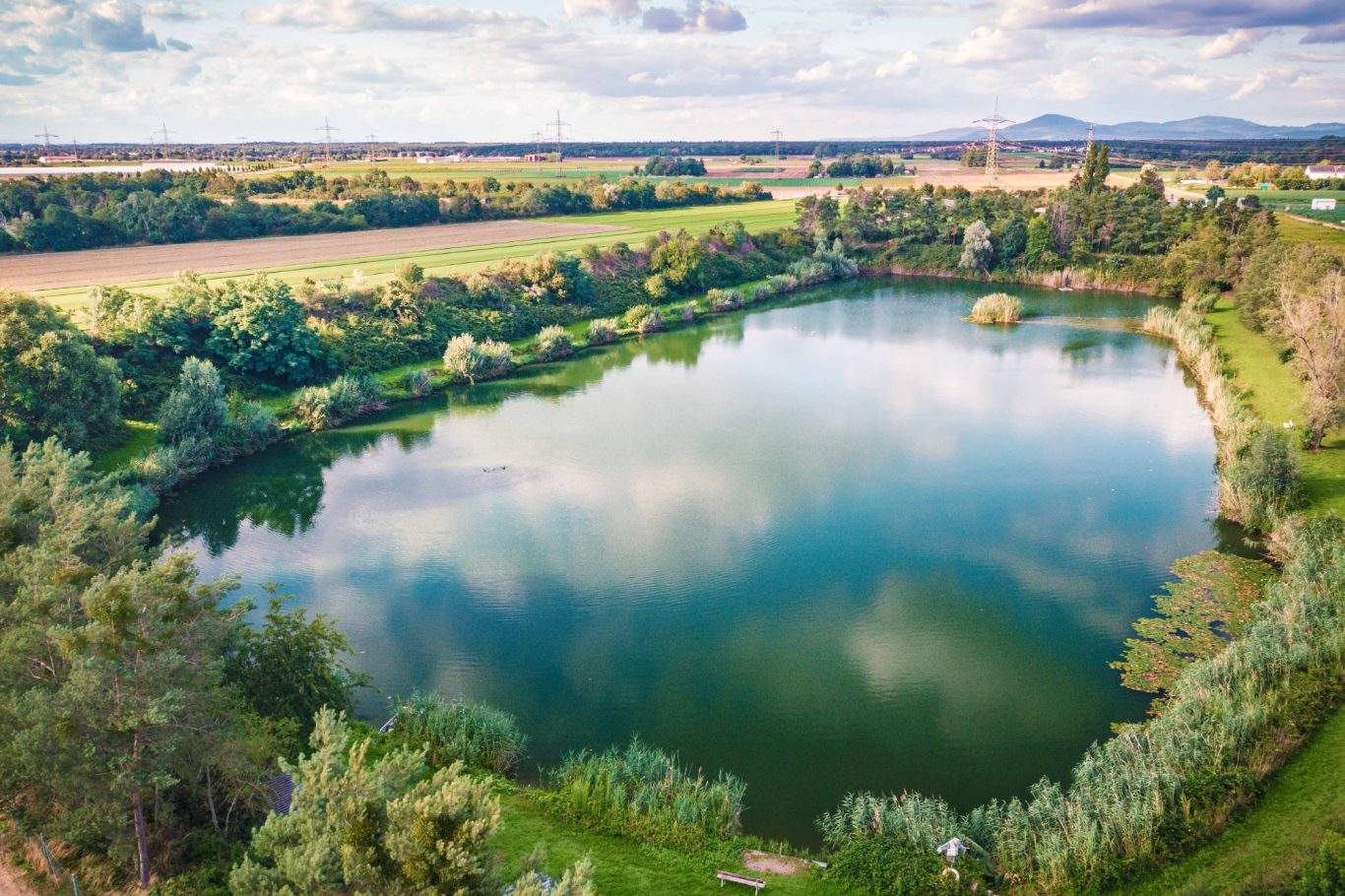 Der Heideweiher von seiner Südseite