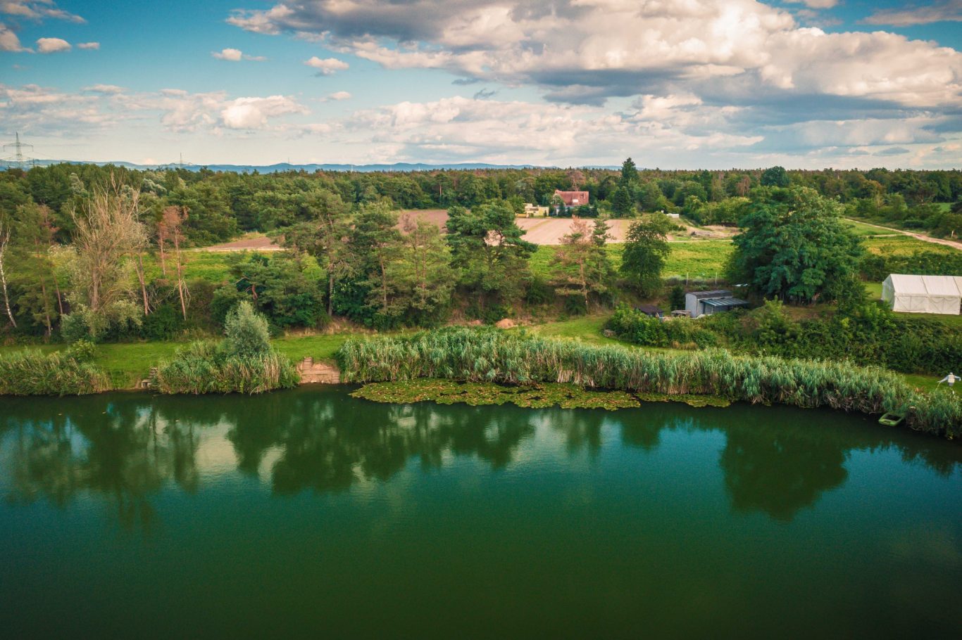 Eines unserer Seerosenfelder